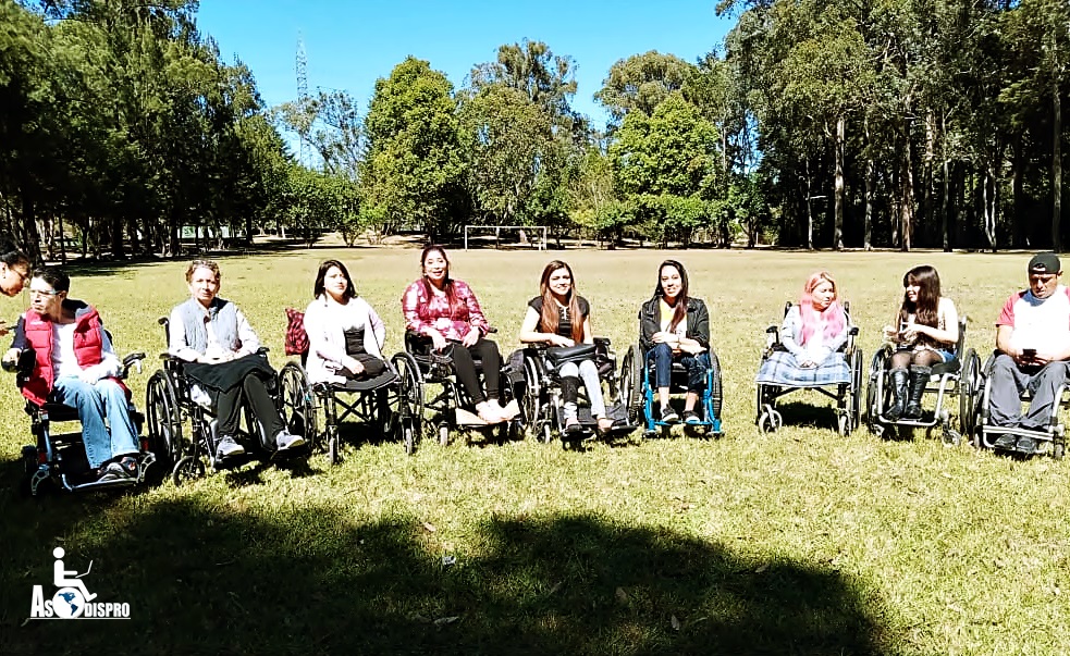 En un campo de grama verde, con árboles frondosos al fondo, en sus sillas de ruedas, los 9 participantes de ASODISPRO posan para una fotografía. 