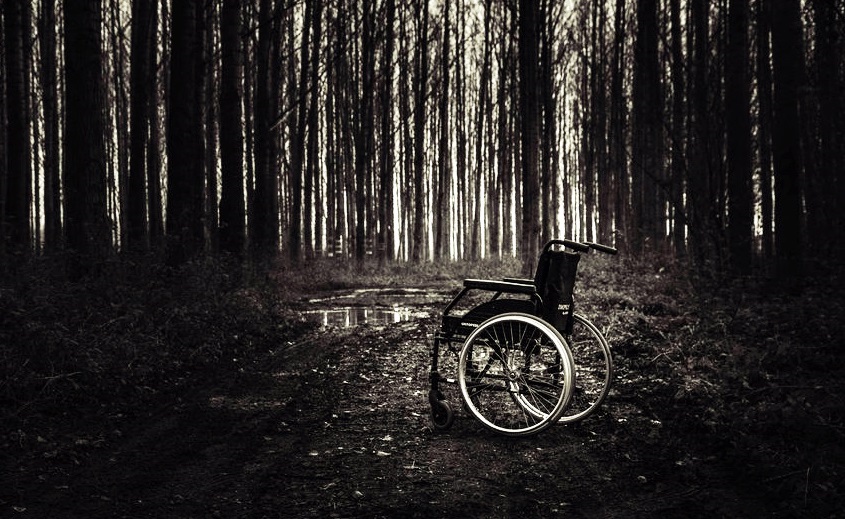 En un bosque en penumbras se observa una silla de ruedas. 