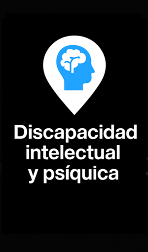 Información sobre discapacidad cognitiva o intelectual 