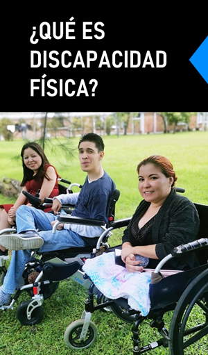 Información sobre discapacidad física