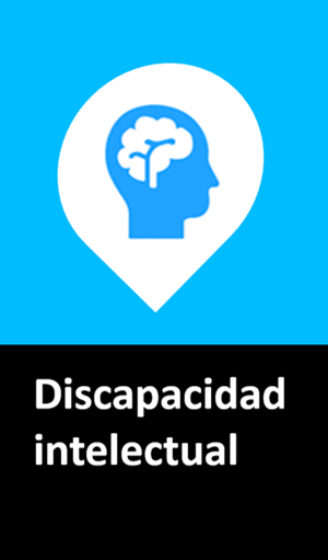 Información sobre discapacidad cognitiva o intelectual 